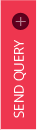 Send Query